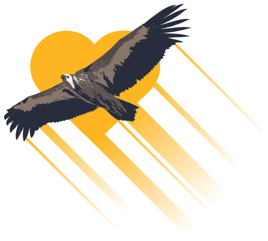 حمایت از پروژه شمارش پرتدگان شکاری هیرکان، آموزش حفاظت از حیات وحش و محیط زیست و پایش