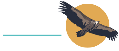 شمارش پرندگان شکاری تالش