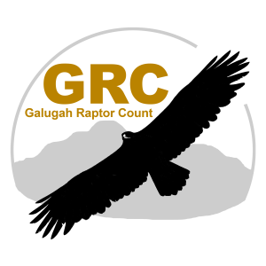 شمارش پرندگان شکاری گلوگاه