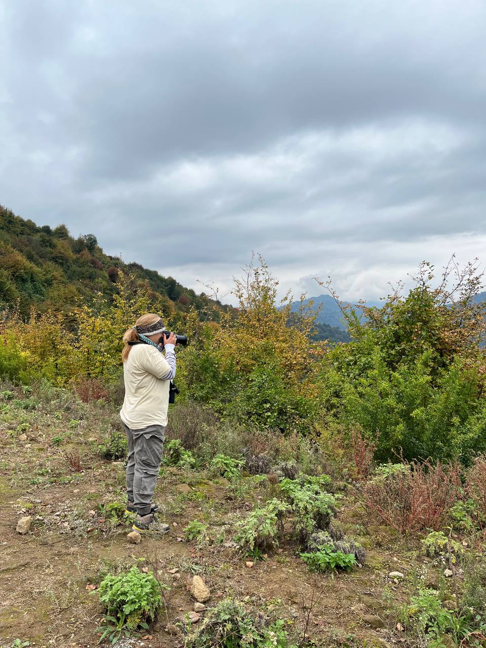 عکاسی از پرندگان شکاری مهاجر در ایستگاه اول شمارش پرندگان شکاری تالش